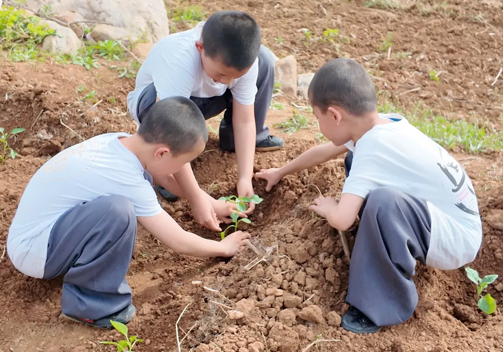 Shaolin Zhongwu students experience growing vegetables