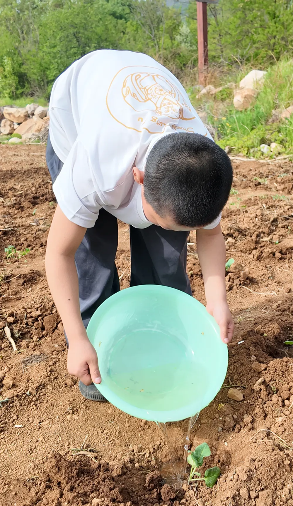 Shaolin Zhongwu students experience growing vegetables